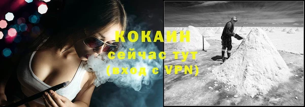 a pvp Пересвет