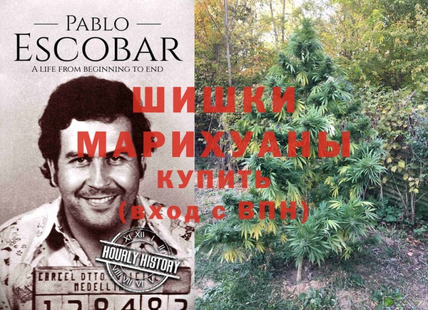 эйфоретик Кадников