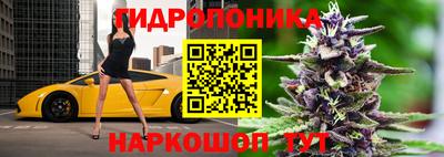 ECSTASY Бузулук